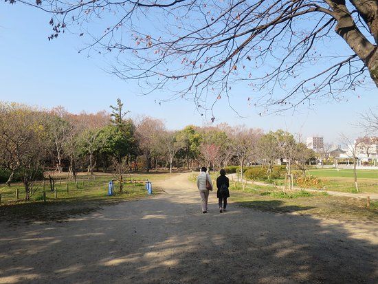 梅小路公園